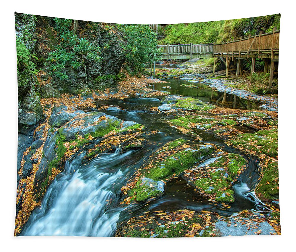 Bushkill Tapestry featuring the photograph Lower Gorge Falls at Bushkill by Kristia Adams