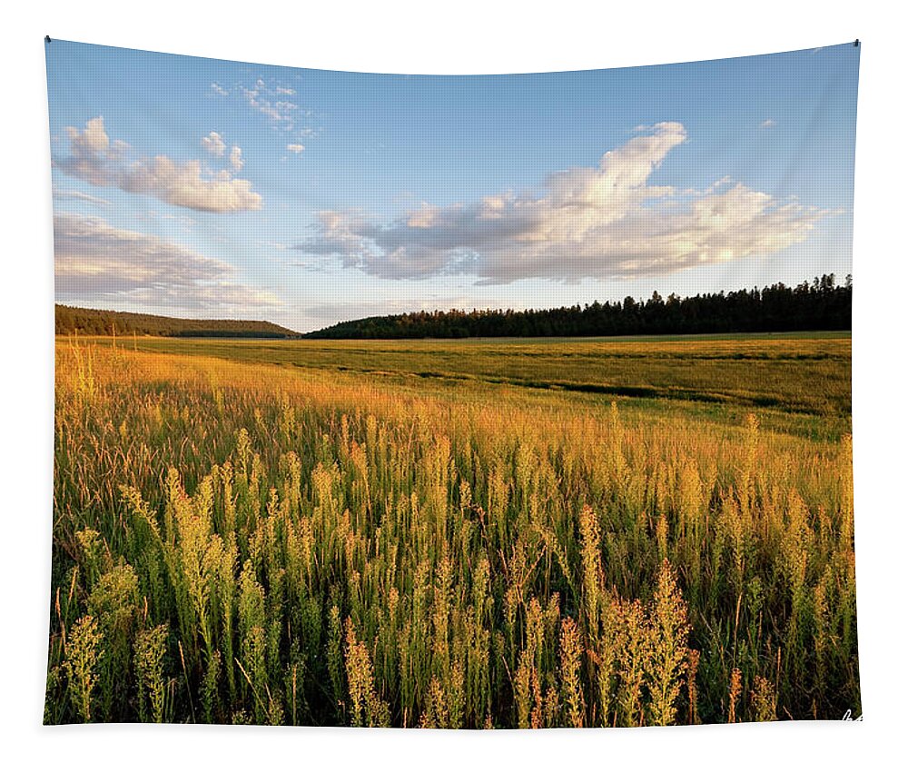 Arizona Tapestry featuring the photograph Lower Lake Mary at Sunset by Jeff Goulden
