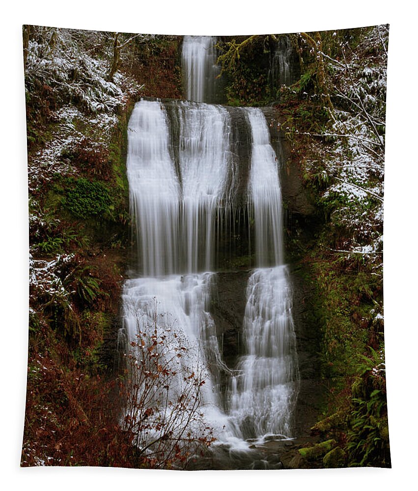 Royal Terrace Falls Tapestry featuring the photograph Royal Terrace Falls by Catherine Avilez