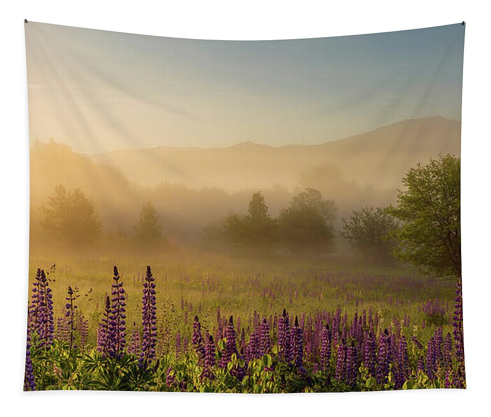 Amazing New England Artworks Tapestry featuring the photograph Lupine In The Fog, Sugar Hill, NH by Jeff Sinon