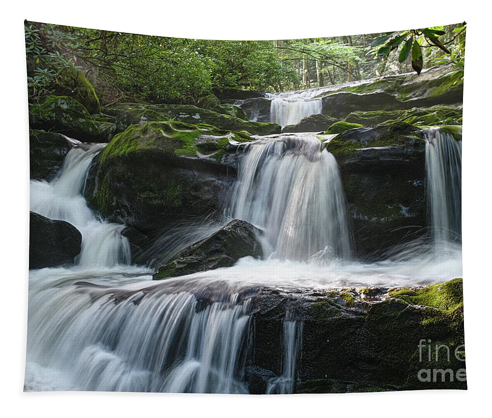 Tremont Tapestry featuring the photograph Lynn Camp Prong Cascades by Phil Perkins