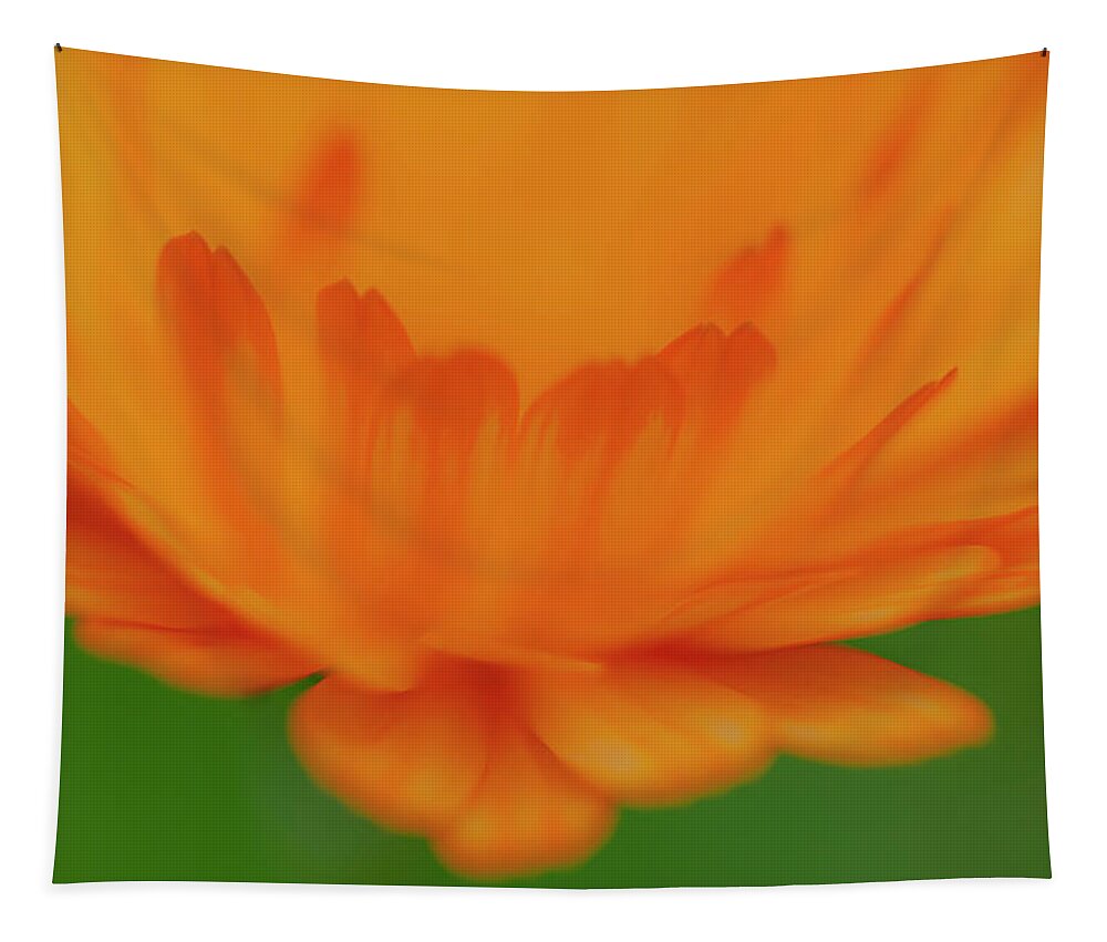 Macro Tapestry featuring the photograph Macro Orange 3 by Kathy Paynter