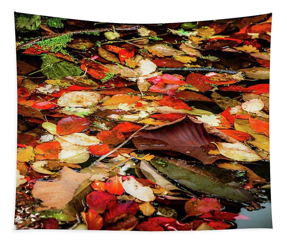 Tree Tapestry featuring the photograph Magical Autumn - 4 by Christopher Maxum