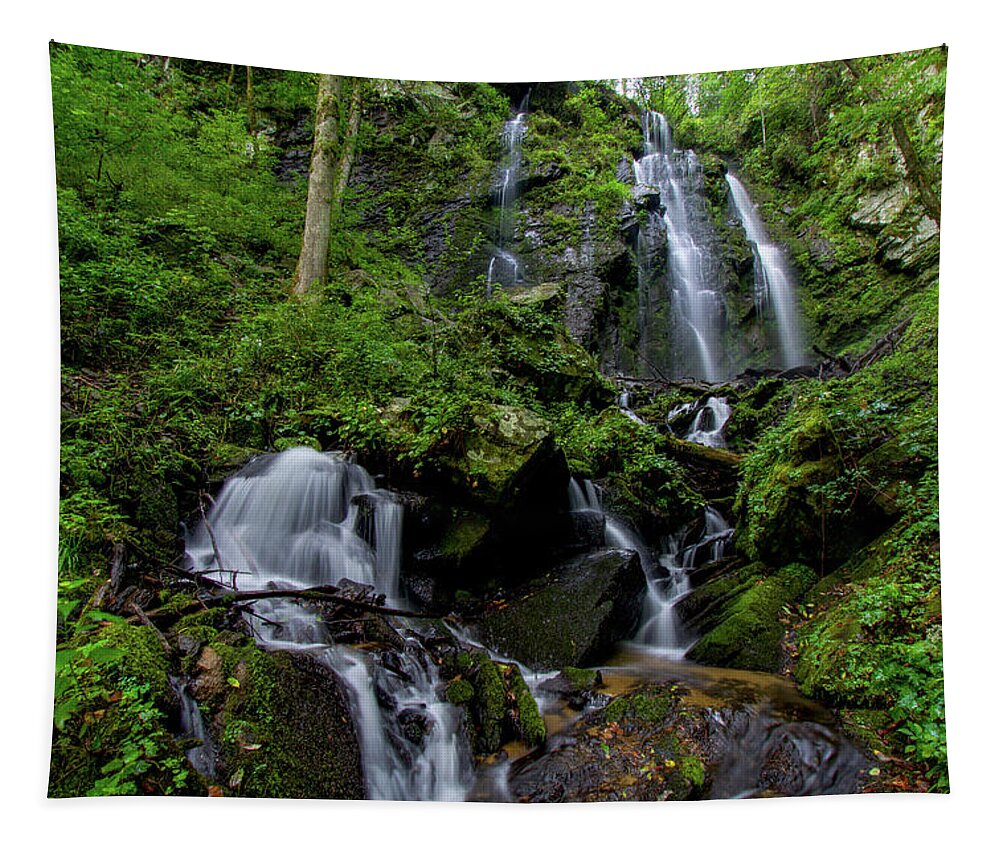 Lee Falls Tapestry featuring the photograph Magnificent Lee Falls by Robert J Wagner