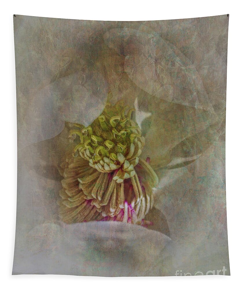 Magnolia Tapestry featuring the photograph Magnolia by Judy Hall-Folde