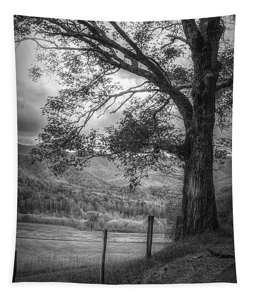 Appalachia Tapestry featuring the photograph Majestic in Black and White by Debra and Dave Vanderlaan