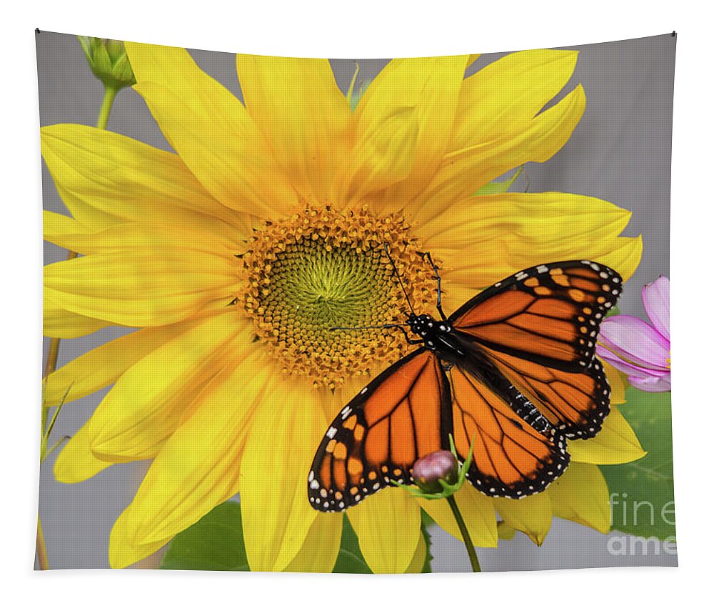 Cheryl Baxter Photography Tapestry featuring the photograph Male Monarch on Sunflower by Cheryl Baxter