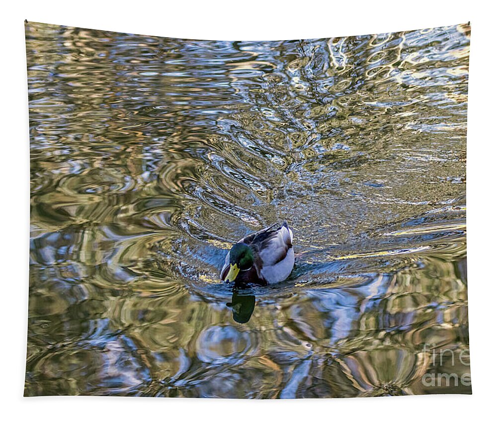 Mallard Tapestry featuring the photograph Mallard Fantail by Kate Brown