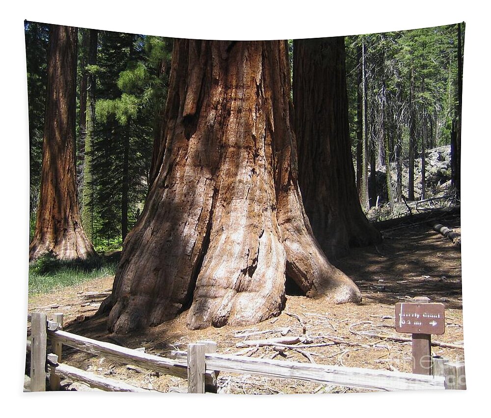 Yosemite Tapestry featuring the photograph Mariposa Old Tall Giant Tree Trunk Yosemite National Park by John Shiron