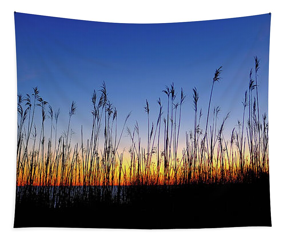 Golden Light Tapestry featuring the photograph Marsh Grass Silhouette by Jeff Sinon