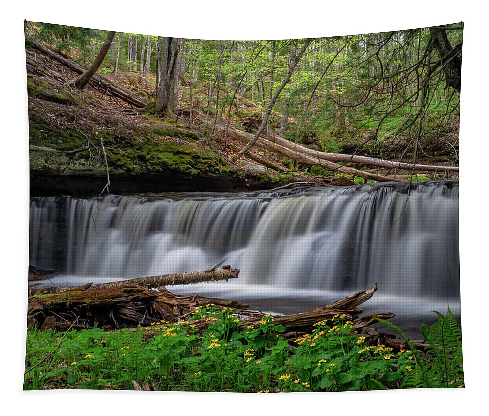 Footsore Fotography Tapestry featuring the photograph Marsh marigolds at Mosquito Falls by Gary McCormick