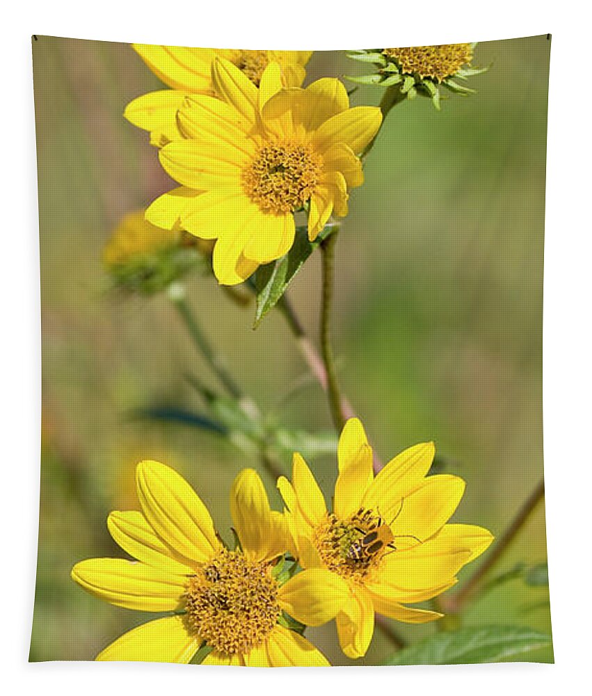 Flower Tapestry featuring the photograph Maximilian Sunflowers - UW Arboretum by Steven Ralser