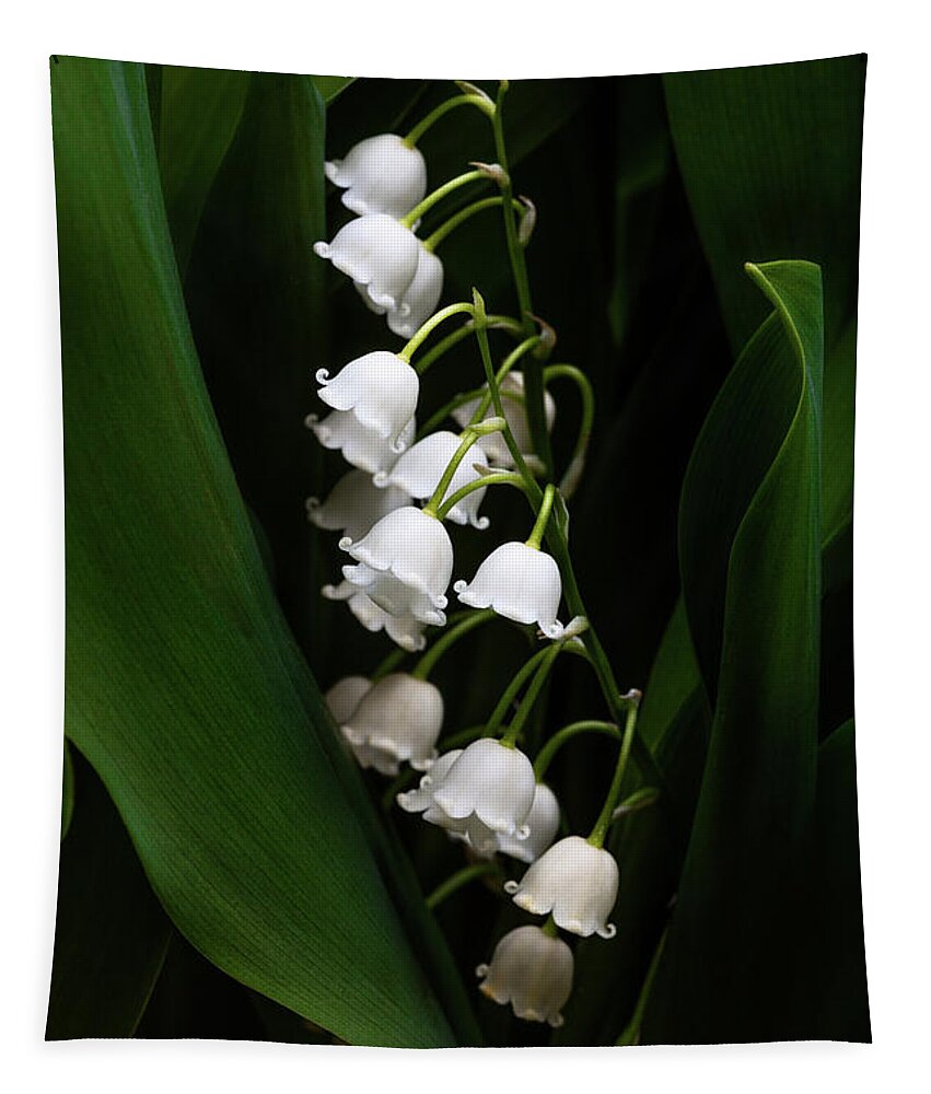 Convallaria Majalis Tapestry featuring the photograph May Lily aka Lily of the Valley by Tom Mc Nemar