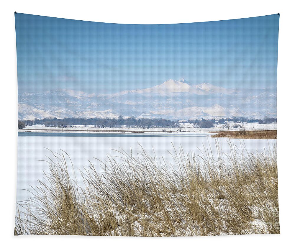 Mcintosh Lake Tapestry featuring the photograph McIntosh Lake Longmont CO by Veronica Batterson