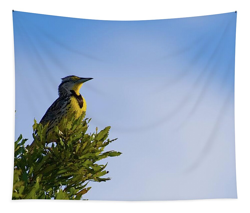 Meadowlark Tapestry featuring the photograph Meadowlark's Treetop Perch by T Lynn Dodsworth