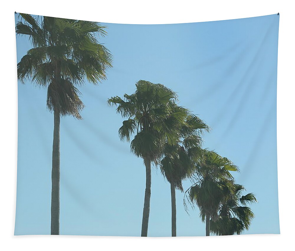300mm Tapestry featuring the photograph Melbourne Beach Palm Trees by M E