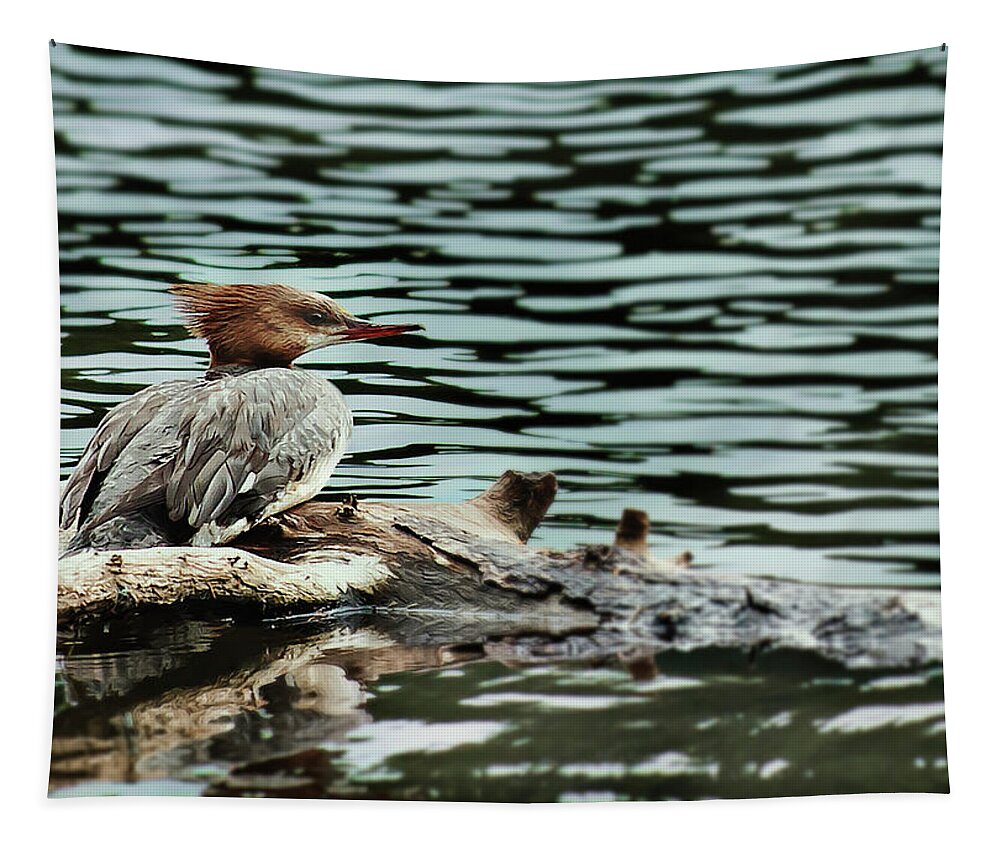 Bird Tapestry featuring the photograph Merganser in Profile by John Christopher