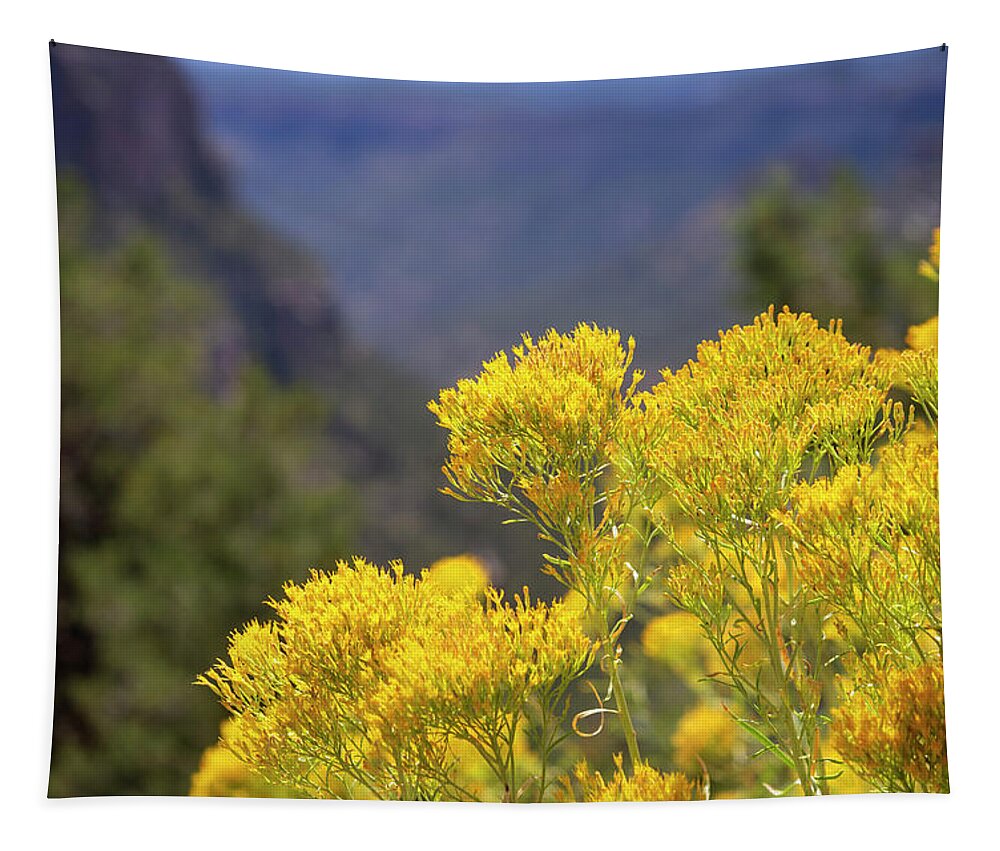 Mesa Verde Tapestry featuring the photograph Mesa Verde National Park Colorado 7 by Ricky Barnard