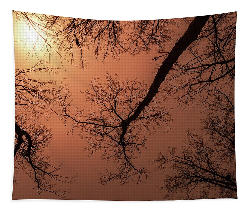 Midwest Trees On Fire Tapestry featuring the photograph Midwest Trees on Fire by Jean Noren