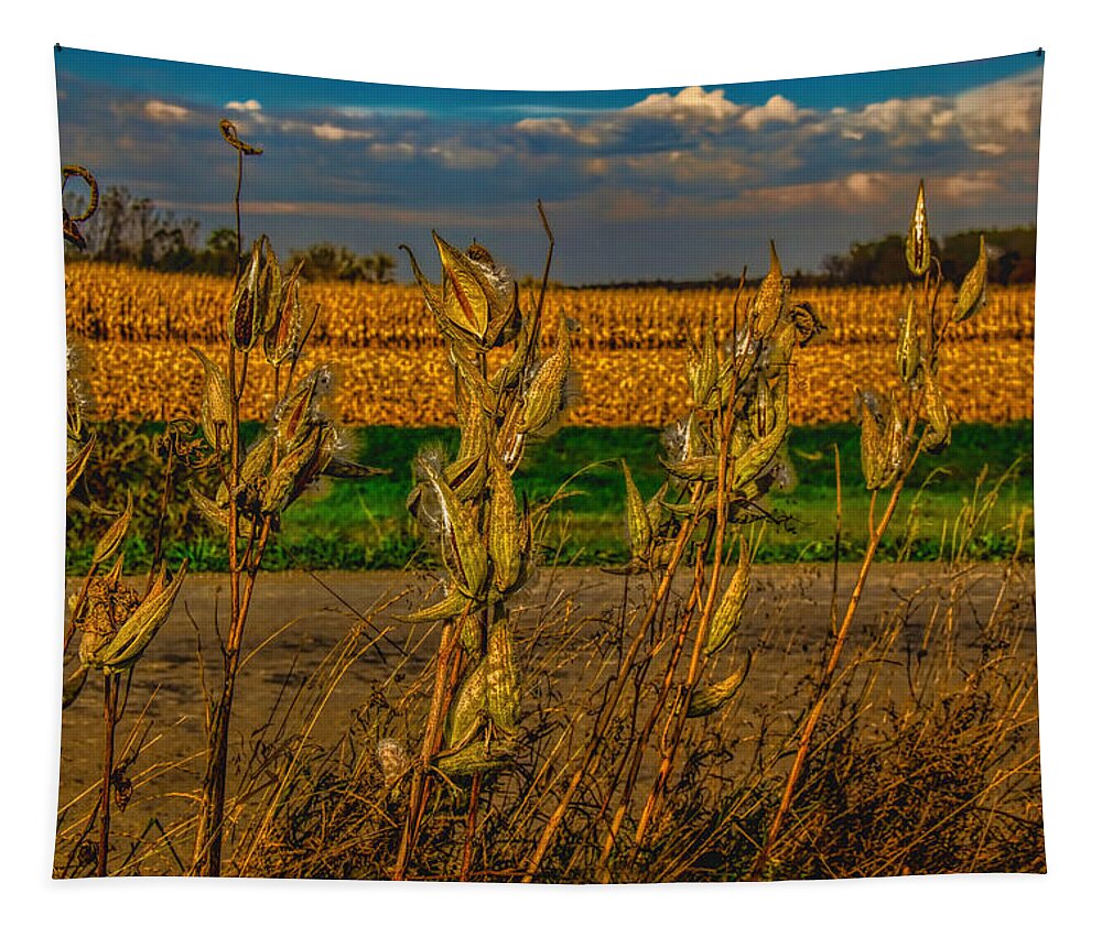 Corn Tapestry featuring the photograph Milkweed and Corn Harvest by Pat Cook