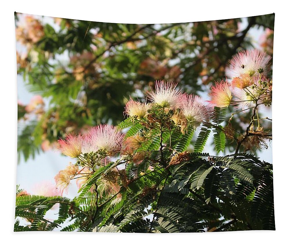 Mimosa Tapestry featuring the photograph Mimosa Tree Flowers by Christopher Lotito