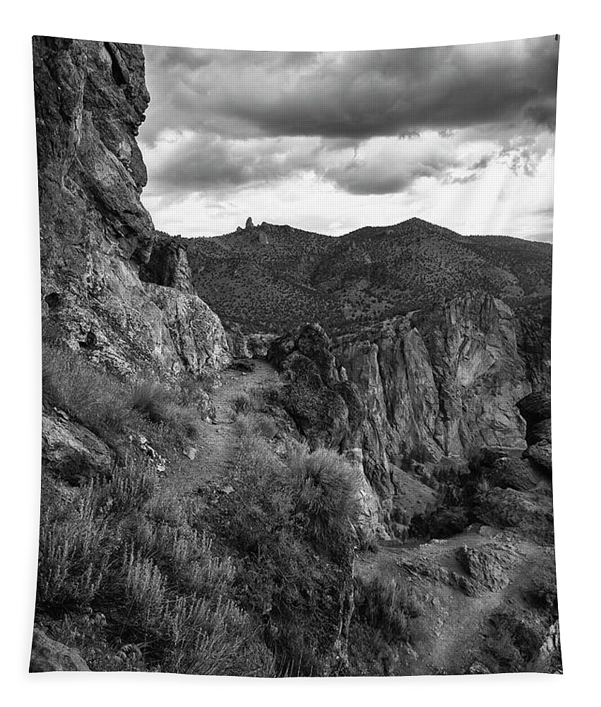 Hikes Tapestry featuring the photograph Misery Ridge by Steven Clark