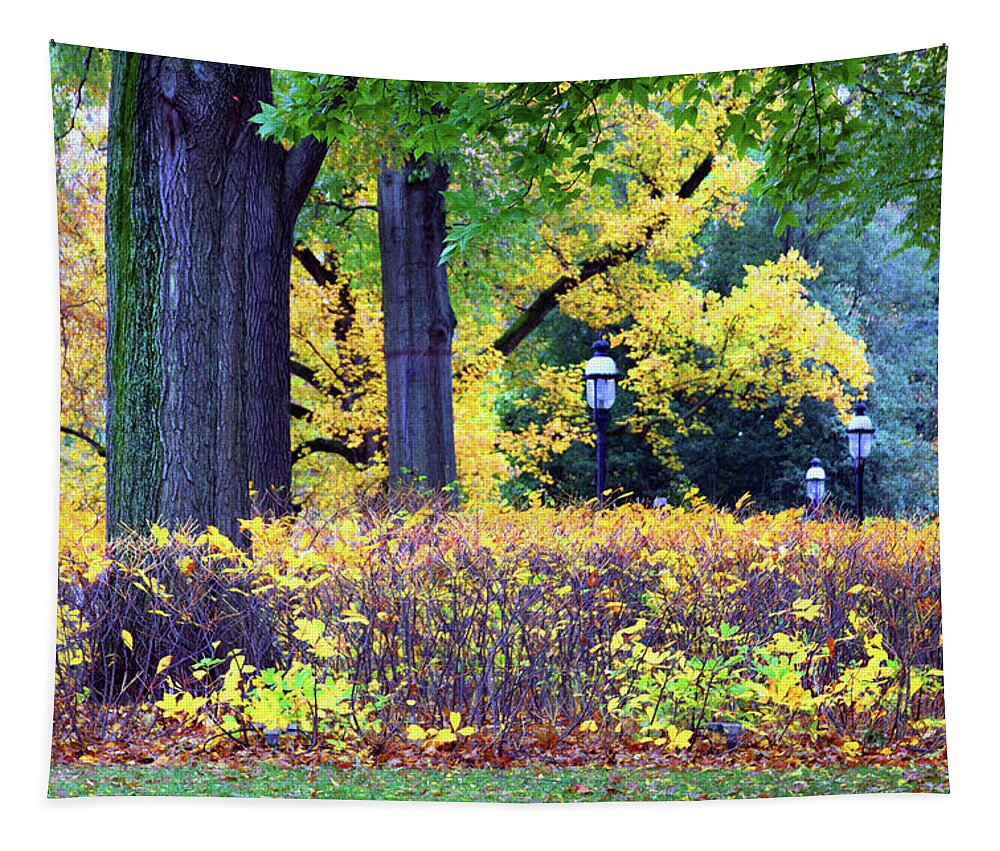 Autumn Tapestry featuring the photograph Missouri Botanical Garden by John Lautermilch