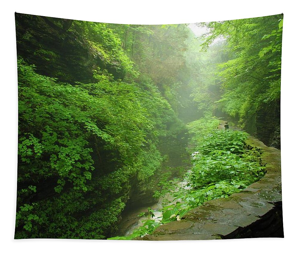 Nunweiler Tapestry featuring the photograph Misty Evening at Watkins Glen by Nunweiler Photography