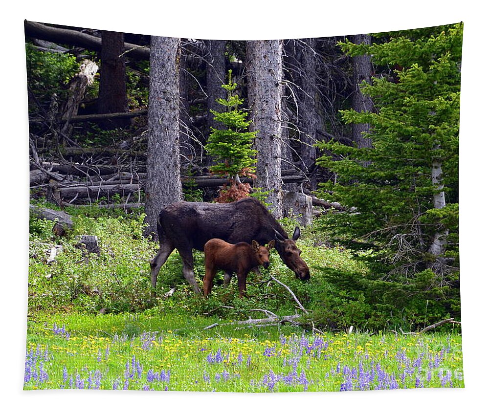 Moose Tapestry featuring the photograph Mom and Baby by Dorrene BrownButterfield