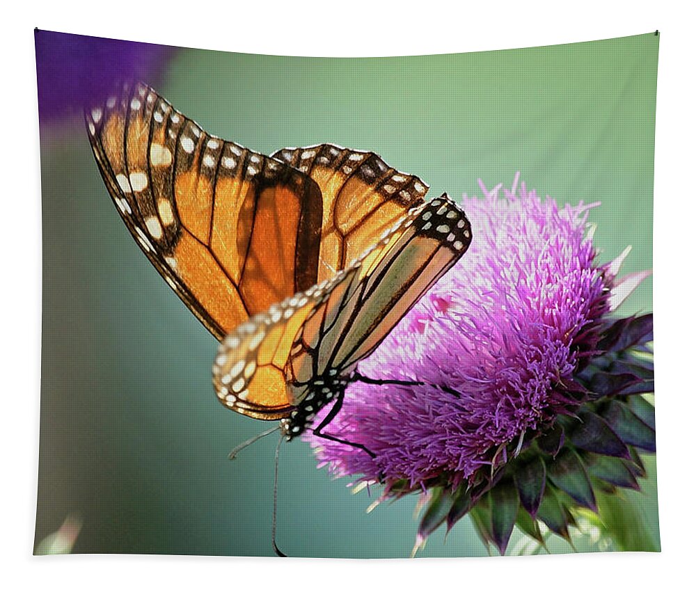 Betty Depee Tapestry featuring the photograph Monarch and Thistle by Betty Depee
