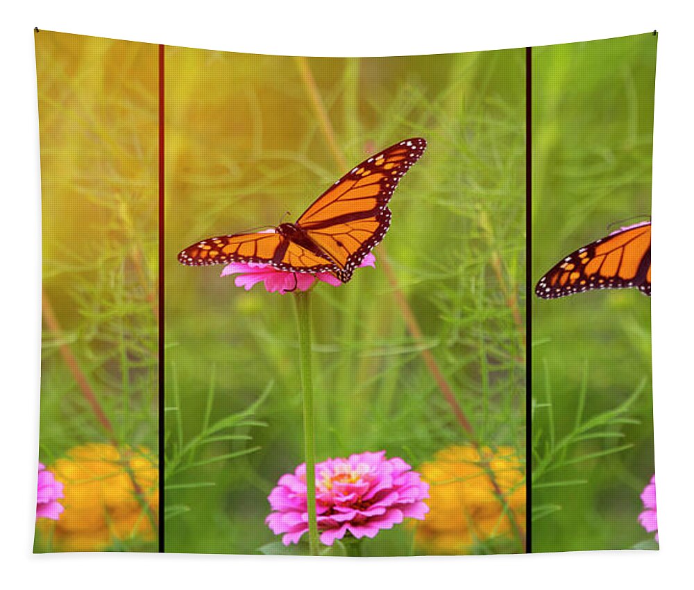 Monarch Tapestry featuring the photograph Monarch Butterfly Trio by Deborah Penland