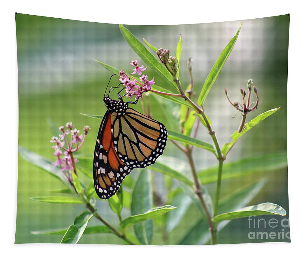 Monarch Tapestry featuring the photograph Monarch Milkweed Magic by Karen Adams