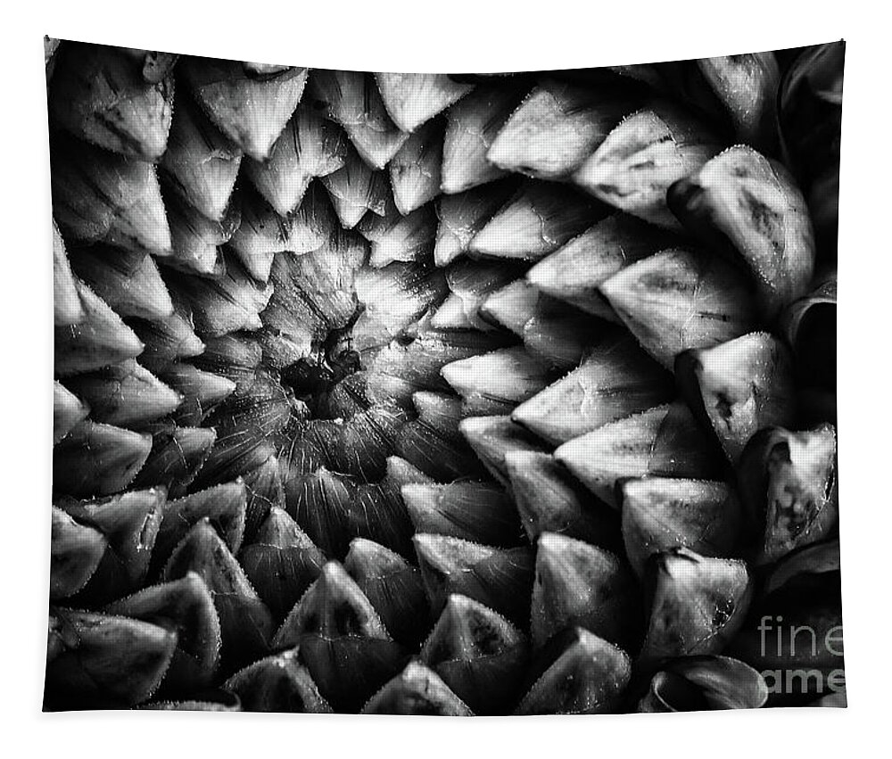 Dahlia Tapestry featuring the photograph Monochrome dahlia flower head pattern by Simon Bratt