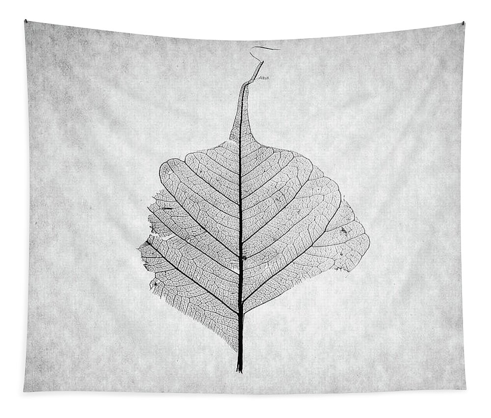 Leaf Tapestry featuring the photograph Monotone Leaf One of Three by Christopher Johnson