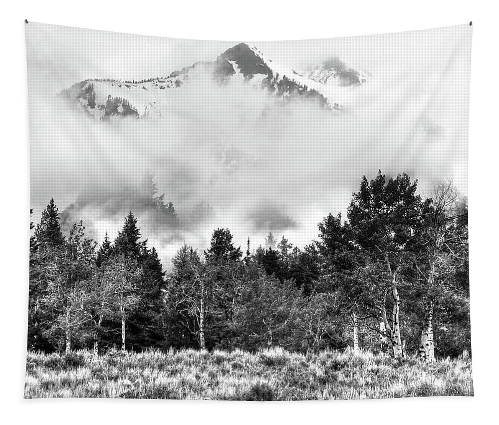 Sawtooth Mountains Tapestry featuring the photograph Montana Mist by Randall Dill