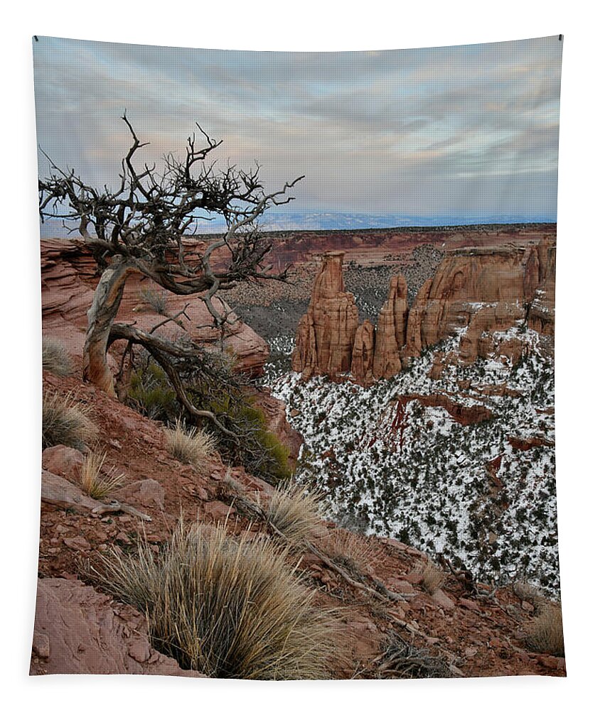 Colorado National Monument Tapestry featuring the photograph Moon Rising over Grand View Point in Colorado National Monument by Ray Mathis