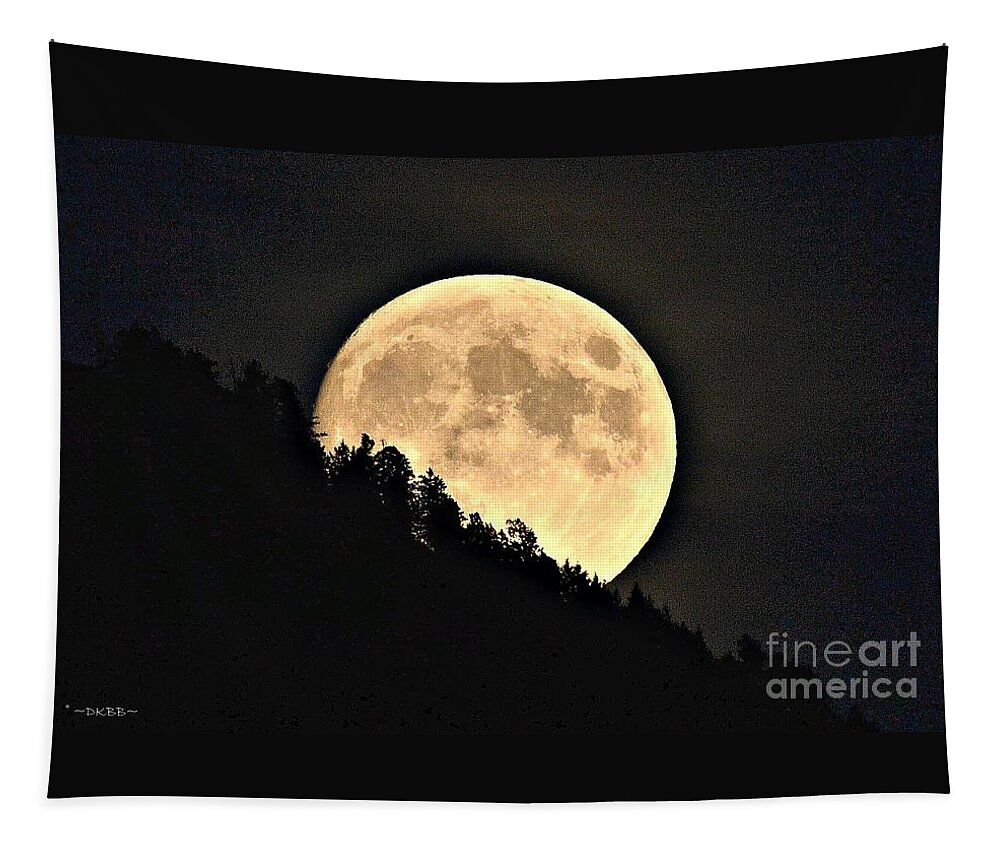 Moon Tapestry featuring the photograph Moonrise by Dorrene BrownButterfield