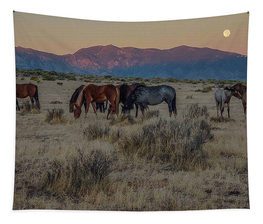  Tapestry featuring the photograph Moonset by John T Humphrey