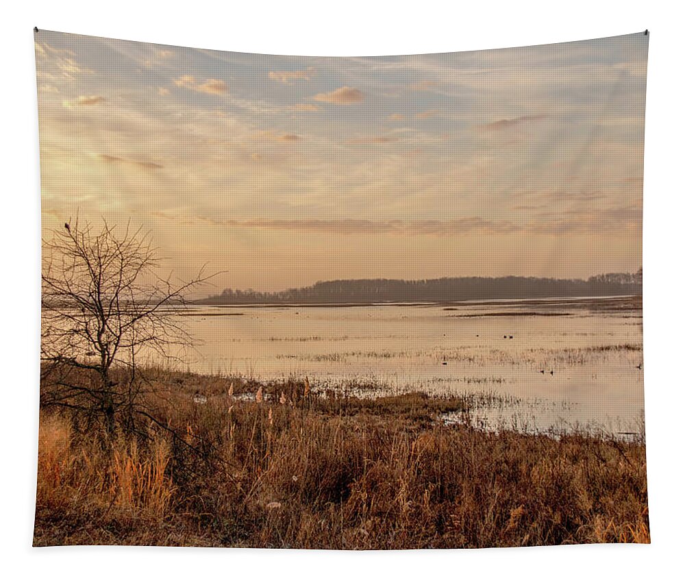 Bombay Hook Tapestry featuring the photograph Morning At Boombay Hook by Kristia Adams