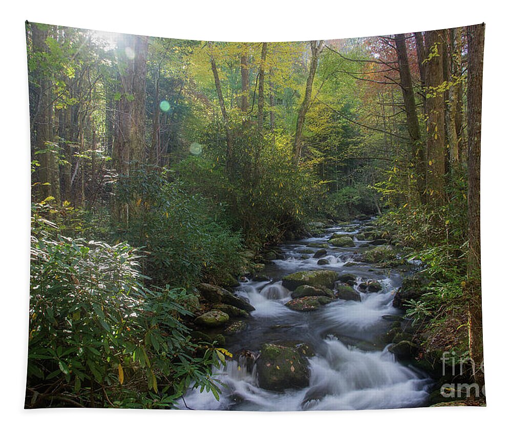 Stream Tapestry featuring the photograph Morning Autumn Stream by Mike Eingle