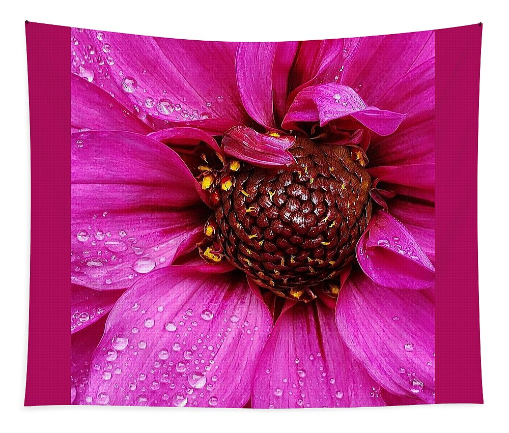 Flower Tapestry featuring the photograph Morning Dew in Pink by Suzy Piatt