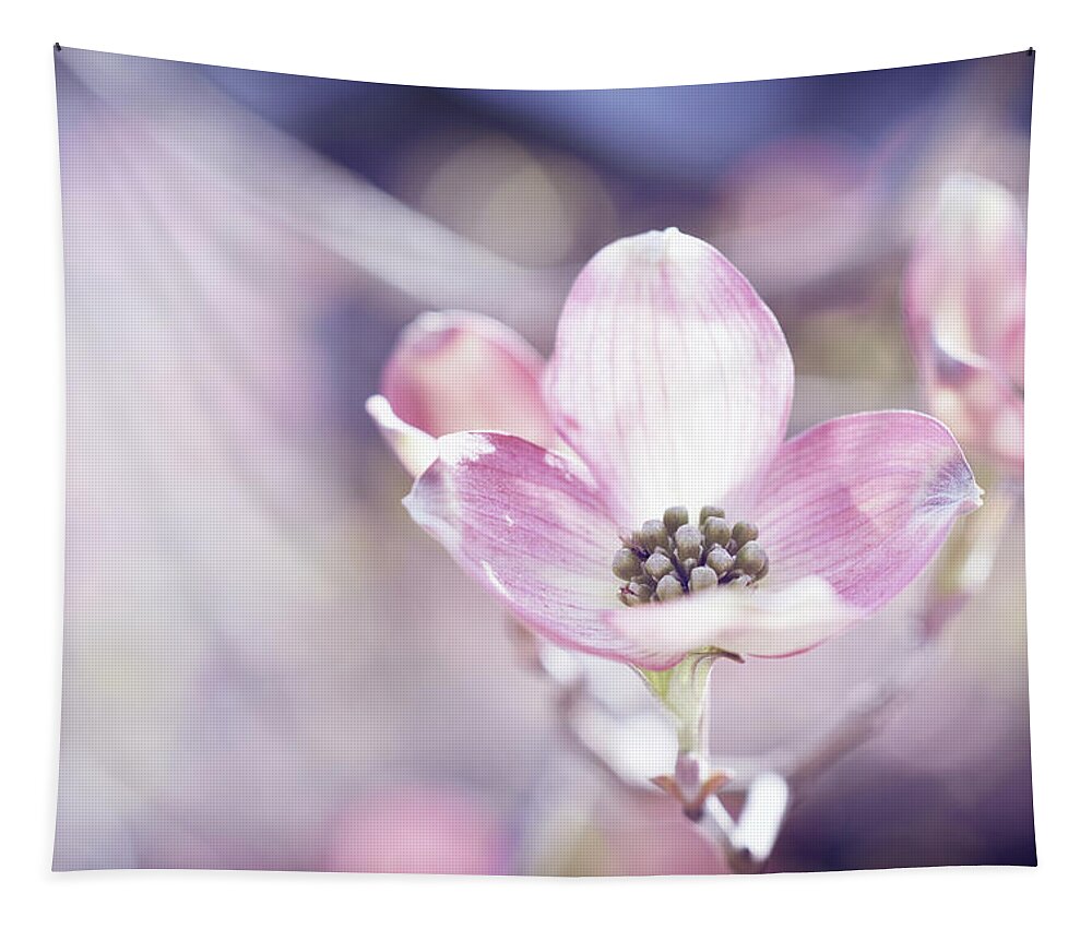 Pink Dogwood Flower Tapestry featuring the photograph Morning Dogwood by Michelle Wermuth