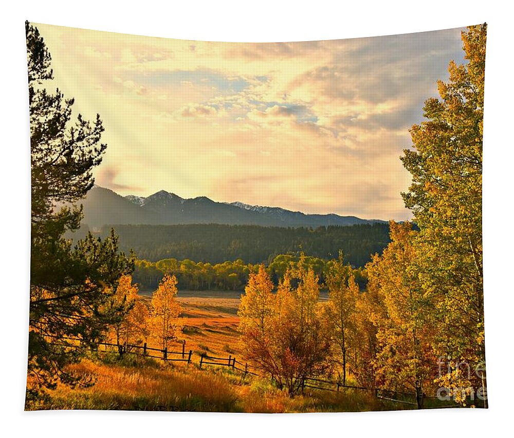 Fall Colors Tapestry featuring the photograph Morning Light by Dorrene BrownButterfield