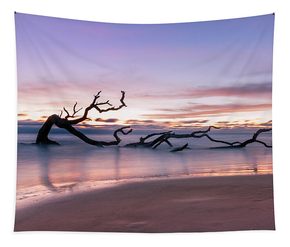 Clouds Tapestry featuring the photograph Morning Treasure by Debra and Dave Vanderlaan