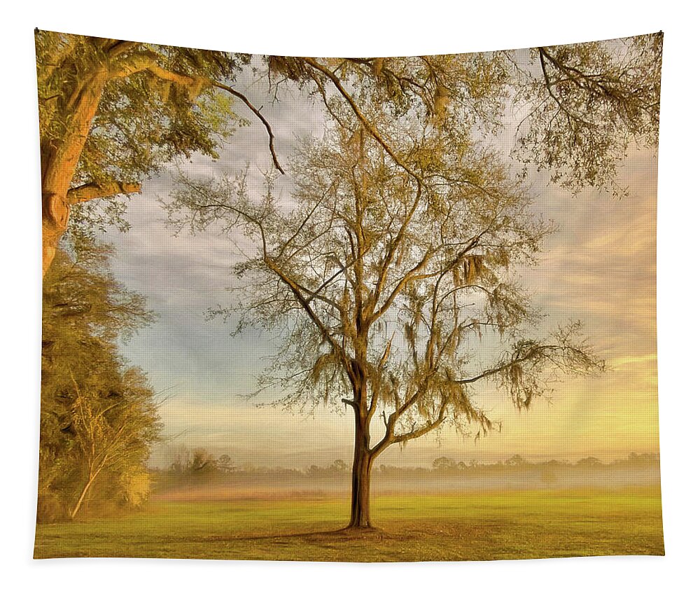 Springtime Tapestry featuring the photograph Morning Walk by Susan Hope Finley