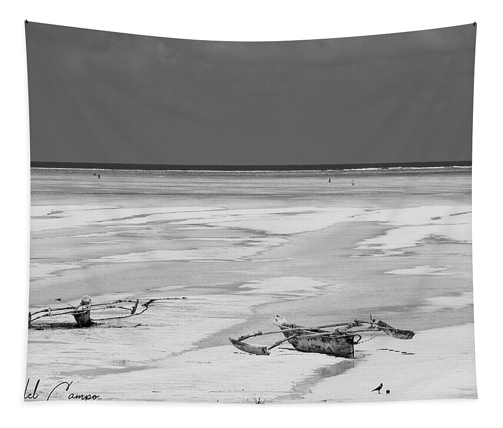 Beach Tapestry featuring the photograph Mosquitos BW by Mache Del Campo