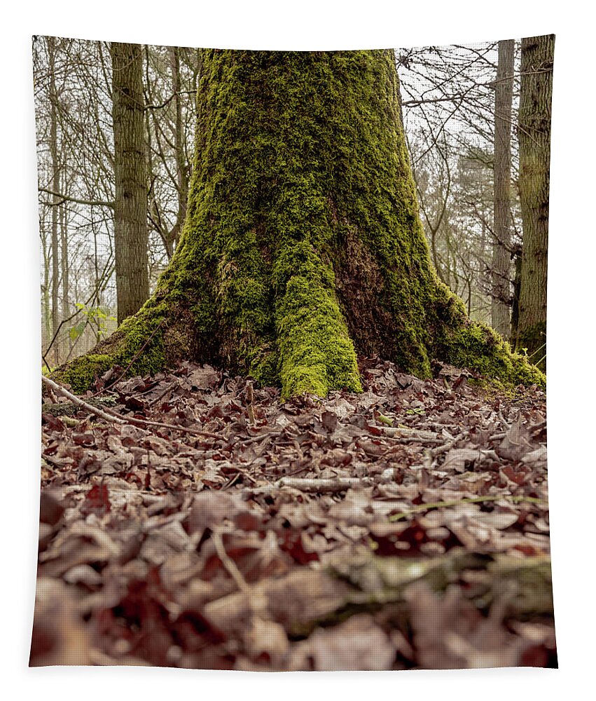 Art Tapestry featuring the photograph Mossy Tree by Scott Lyons