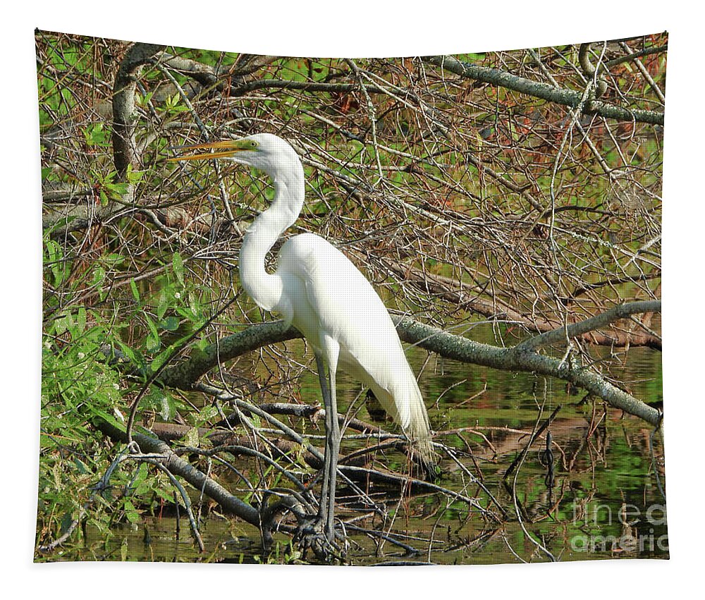 Great Egret Tapestry featuring the photograph Motionless by Scott Cameron