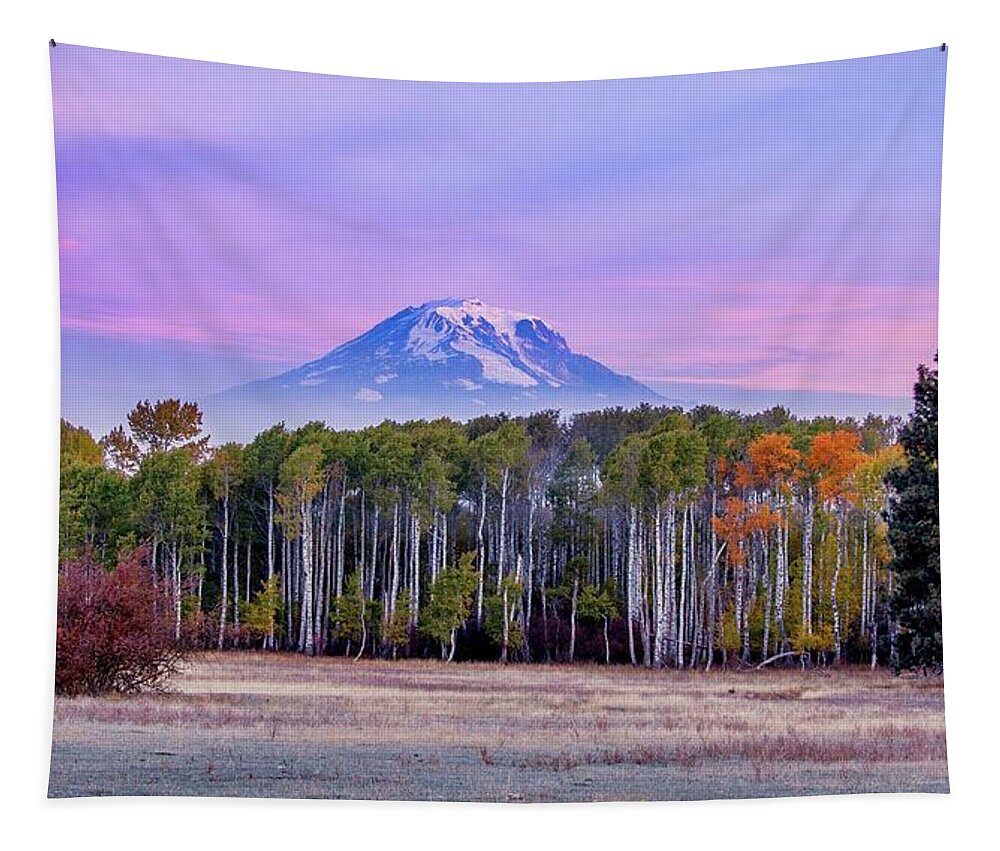 Mount Adams Sunrise Tapestry featuring the photograph Mount Adams Sunrise 2 by Lynn Hopwood