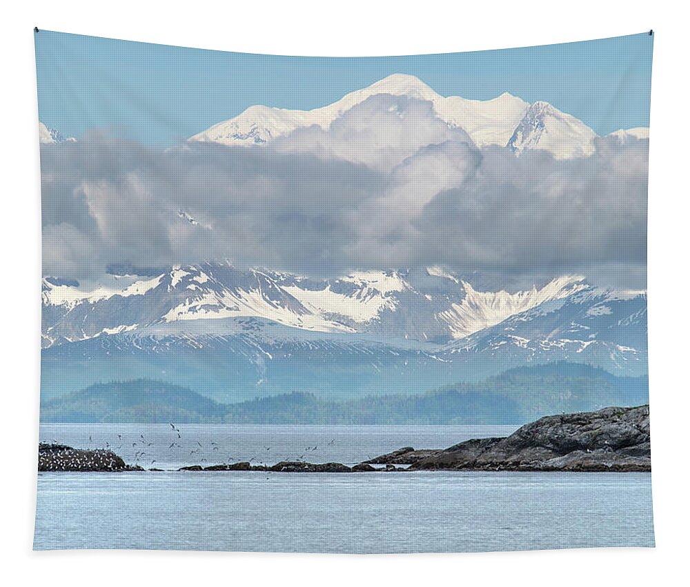 National Park Tapestry featuring the photograph Mount Fairweather by Steven Keys